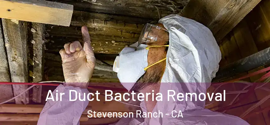  Air Duct Bacteria Removal Stevenson Ranch - CA