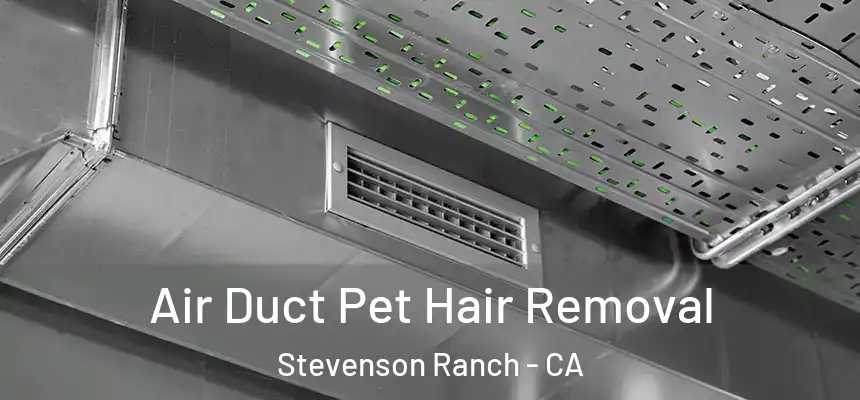 Air Duct Pet Hair Removal Stevenson Ranch - CA