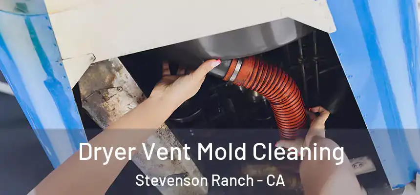  Dryer Vent Mold Cleaning Stevenson Ranch - CA