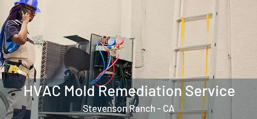  HVAC Mold Remediation Service Stevenson Ranch - CA
