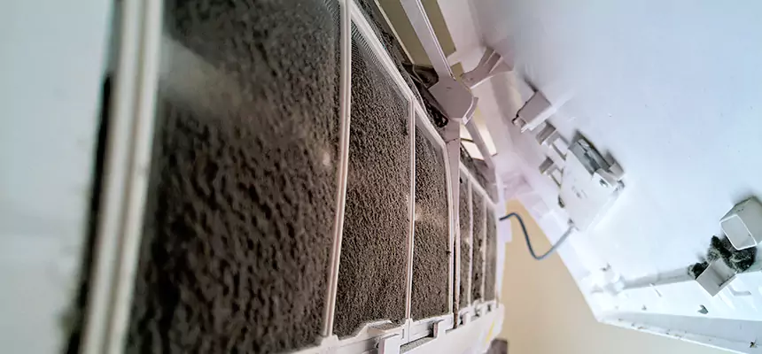 Preventive Air Duct Bacteria Removal in Stevenson Ranch