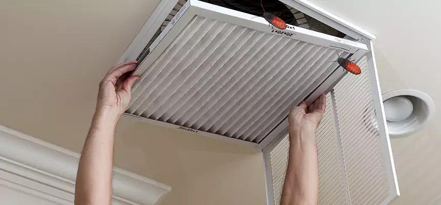 Preventive Cockroach-Proofing for Ducts in Stevenson Ranch
