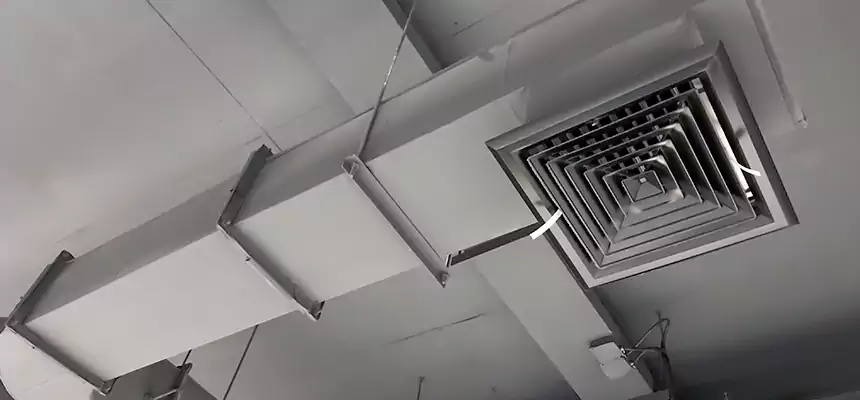 Our Pest Removal From Ducts Services in Stevenson Ranch, CA