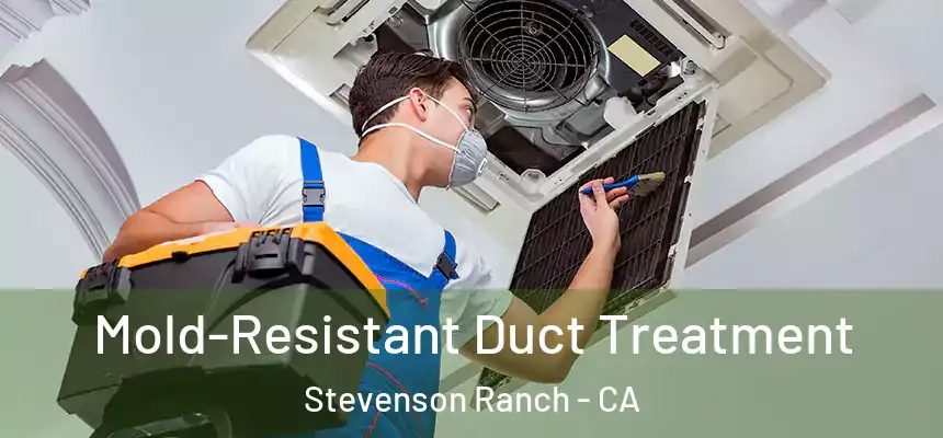  Mold-Resistant Duct Treatment Stevenson Ranch - CA
