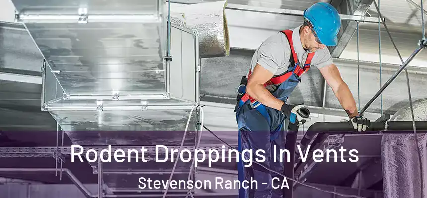  Rodent Droppings In Vents Stevenson Ranch - CA