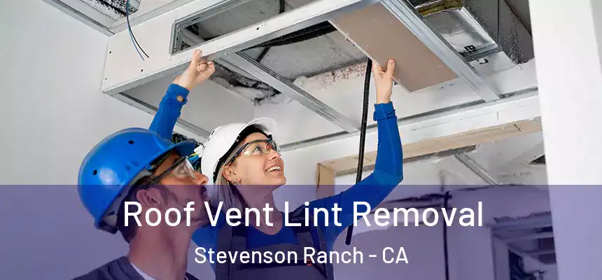  Roof Vent Lint Removal Stevenson Ranch - CA