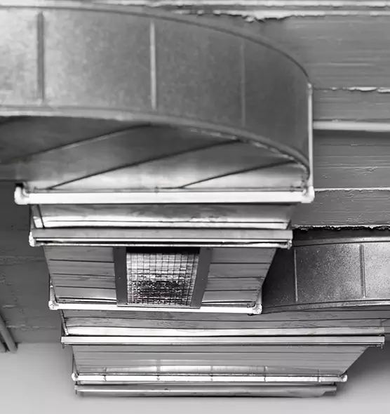 Professional Air Duct Pet Hair Removal in Stevenson Ranch, CA