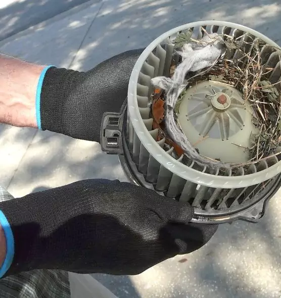 About Air Duct Rat Removal in Stevenson Ranch, CA