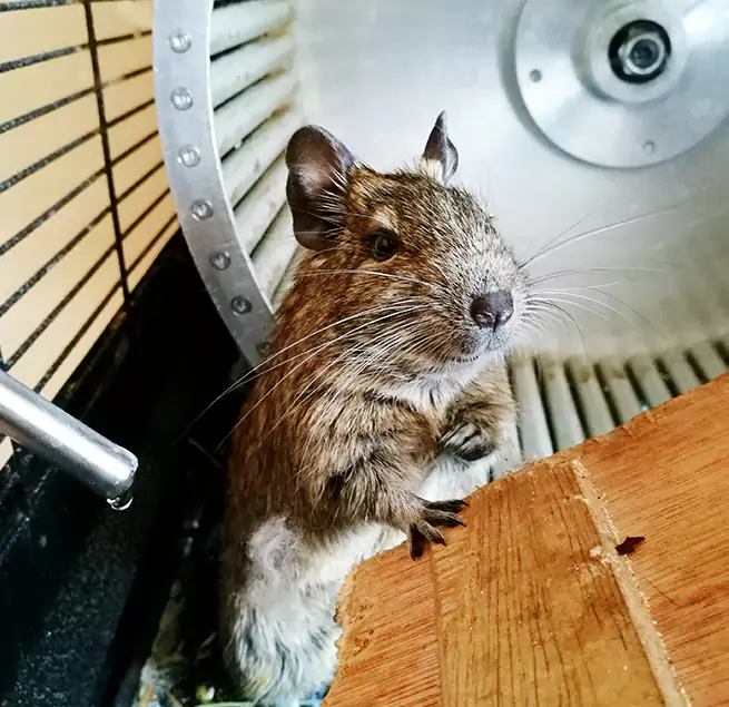 Why Homeowners & Businesses Trust Us Stevenson Ranch, CA?