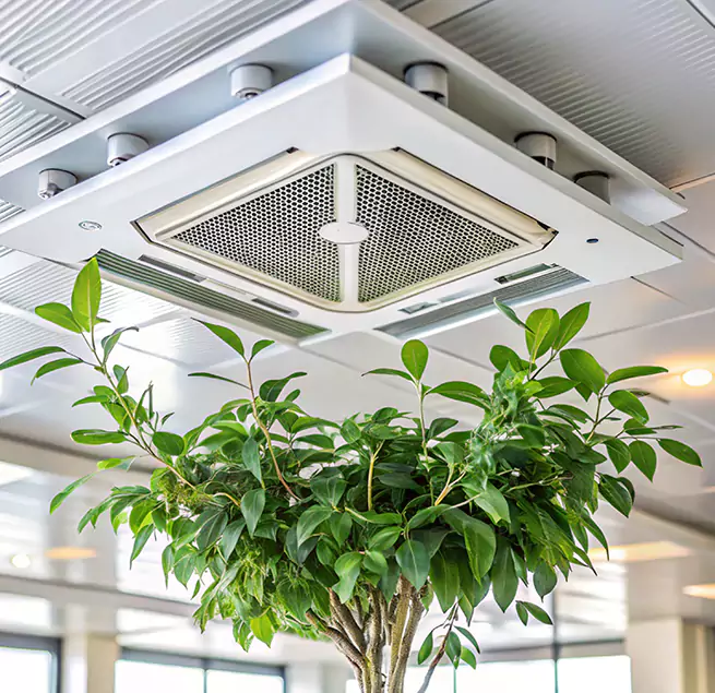 Why Homeowners & Businesses Trust Us in Stevenson Ranch, CA